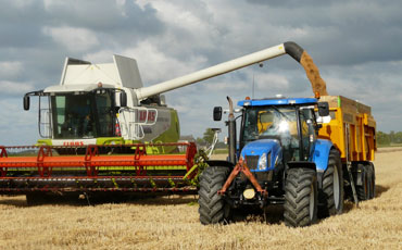 Agricultural Processing